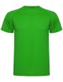 Heren Sportshirt Montecarlo Roly CA0425 Fem Green